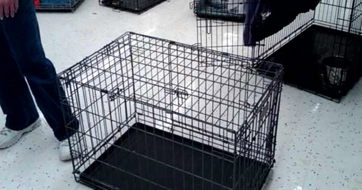 Coronavirus Dog Cage