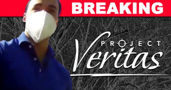 Max Harris, Project Veritas, Breaking News