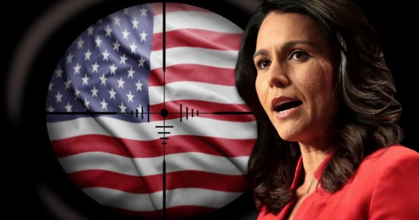 Tulsi Gabbard, Domestic Terrorism