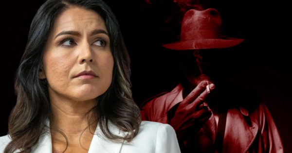 Tulsi Gabbard, Deep State