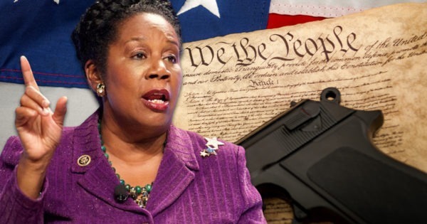 Sheila Jackson Lee, Second Amendment, Gun Rights