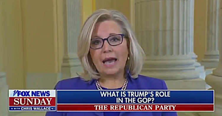 VIDEO: Liz Cheney, Fresh Off Censure With 10% Approval ...