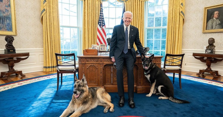 Biden’s Dogs Banned From White House After ‘Aggressive Behavior,’ ‘Biting Incident’