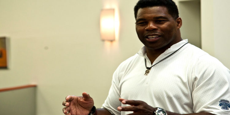 POLL: Herschel Walker Builds Three-Point Lead Over Raphael Warnock In ...