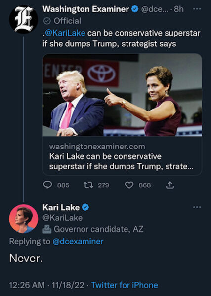 Kari Lake Trump Response