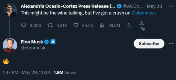 Elon Musk AOC Crush